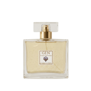 Gin 100ml